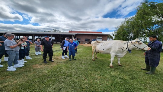 Curso de Atualização de Classificadores